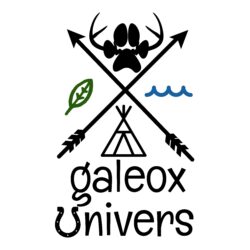 Logo de Galeox Univers (empreinte de patte, flèches, tipi.